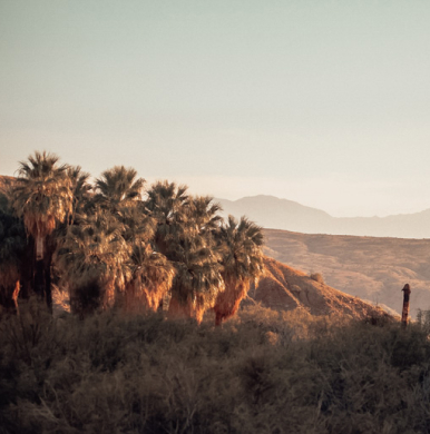 desert 1