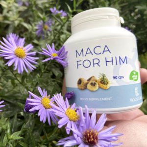 maca root libido